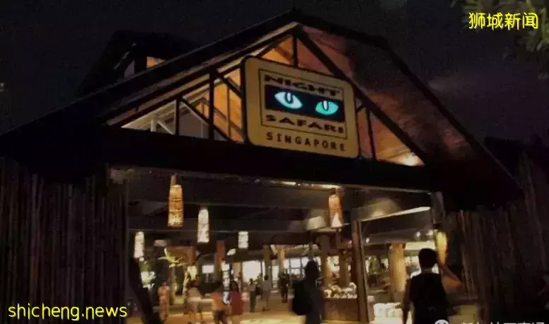 “想你的夜,求你让我再爱你一遍 ”后疫情时代你有多久遗忘了新加坡的夜