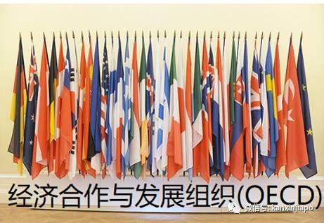 最新人类发展指数:香港全球第4,新加坡第11