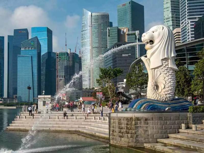 新加坡美食：多元文化下的舌尖美味