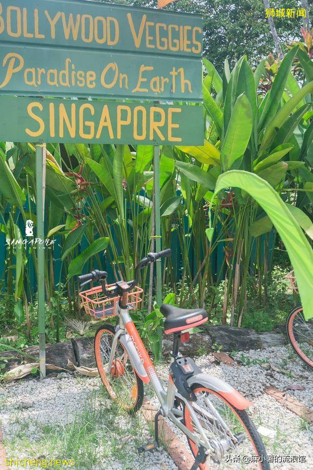 新加坡有座宝藏农场，全部种植有机蔬果，周末成度假打卡圣地