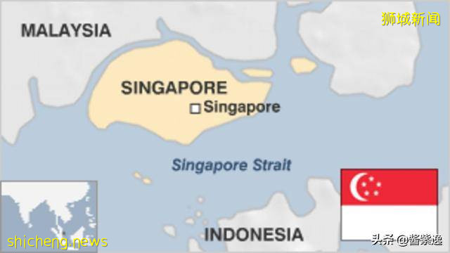 新加坡冷知识：出现首位女总统,海南鸡饭是国菜