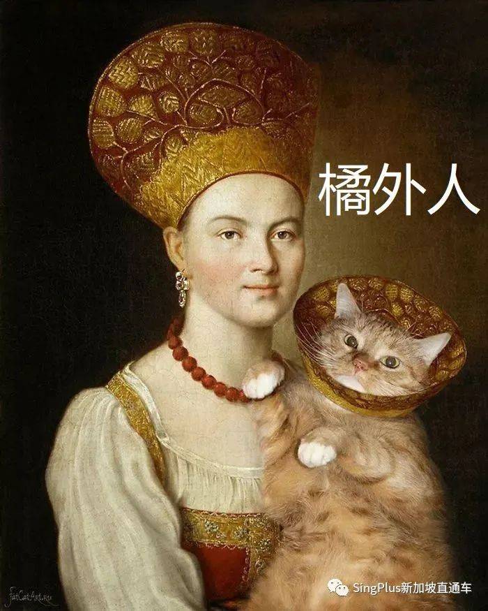 《新加坡高校留学生图鉴》