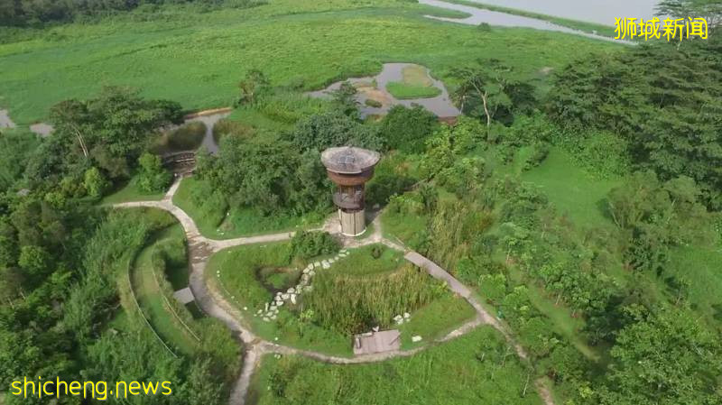新加坡如何在城市化和与野生动物共存取得平衡?自然公园网络计划即将实施,居民可在10分钟内到达公园