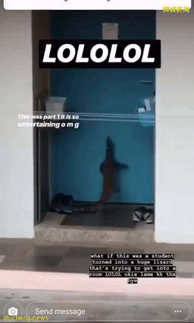 《神奇動物在哪裏之 NTU 篇》