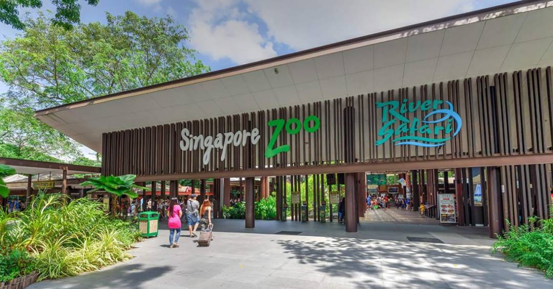 新加坡 吸引人们来,靠的不仅是颜值,还有才华