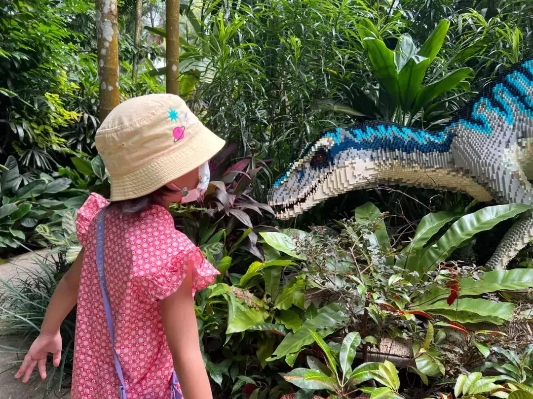 在中國有房不住、有車不開！1個月花10萬房租，“自討苦吃”來新加坡陪讀，她爲了什麽