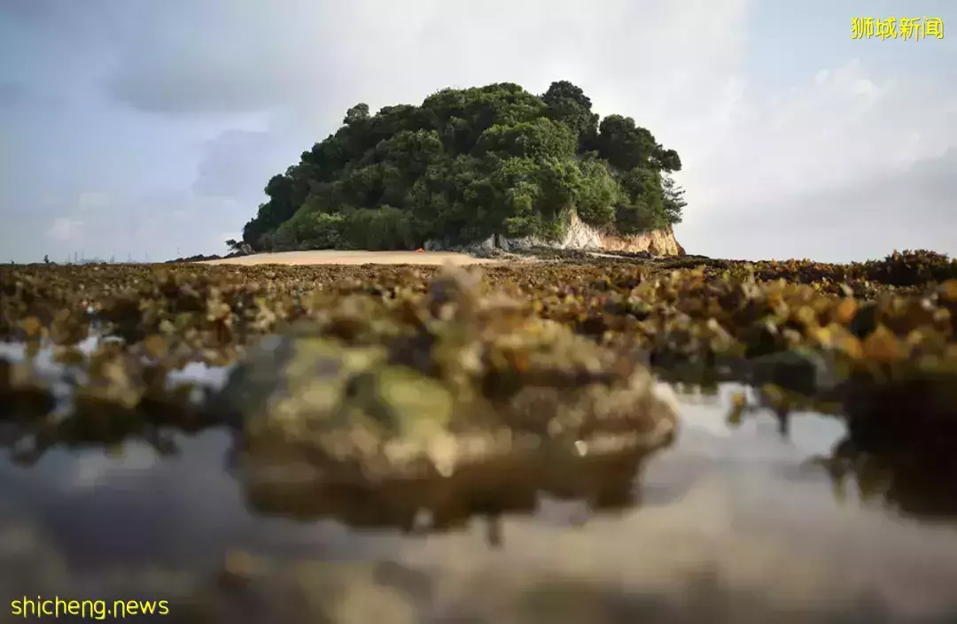 假期出遊 新加坡那些鮮爲人知的“寶藏”勝地