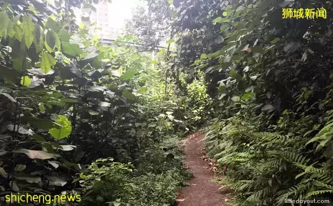 新加坡南部要建新公园,占地200公顷!这些地方太美了打卡必去