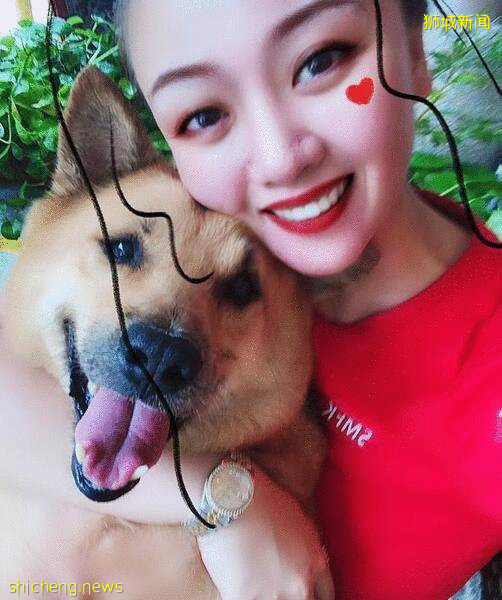 “我最亲爱的四喜走了,带走了我在新加坡16年的青春和回忆...”