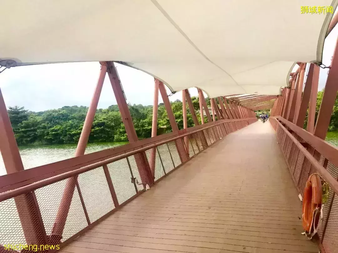 無需簽證！新加坡周邊12個絕美小島，每個都超有特色