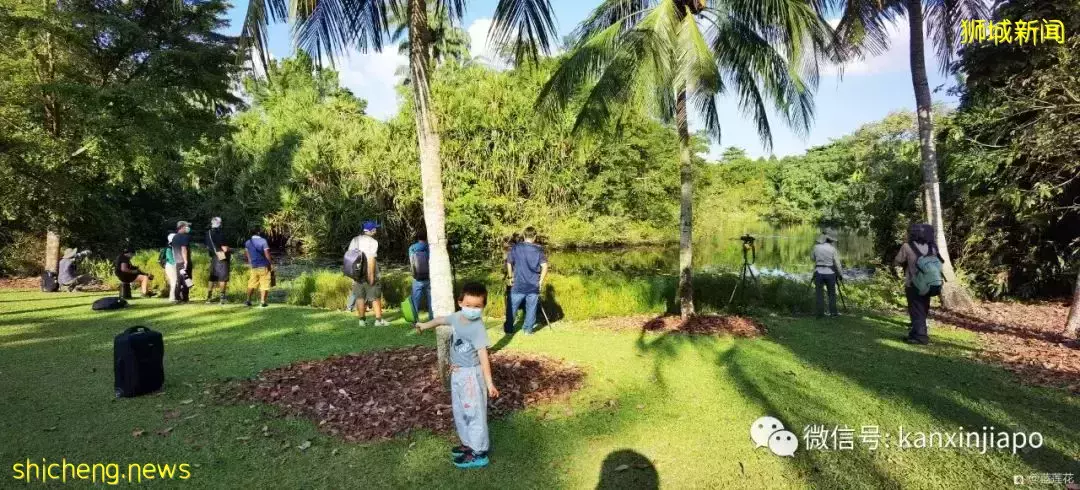 快来免费打卡新加坡这个世界文化遗产