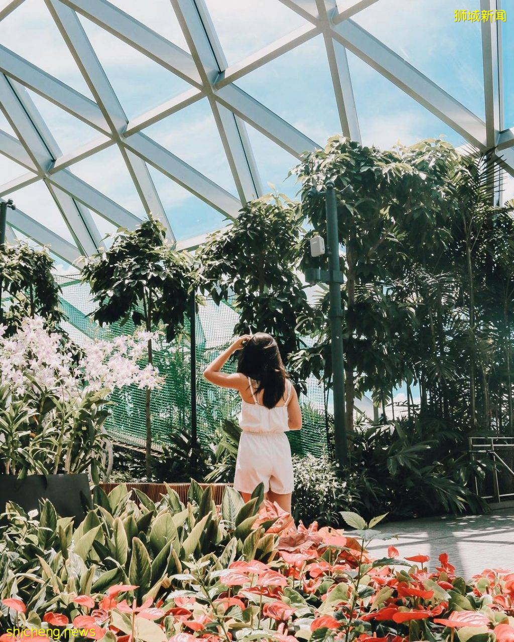 限时免费进入Canopy Park!凭当日消费收据、兑换门票🎫每日限前500个名额、直到7月31日