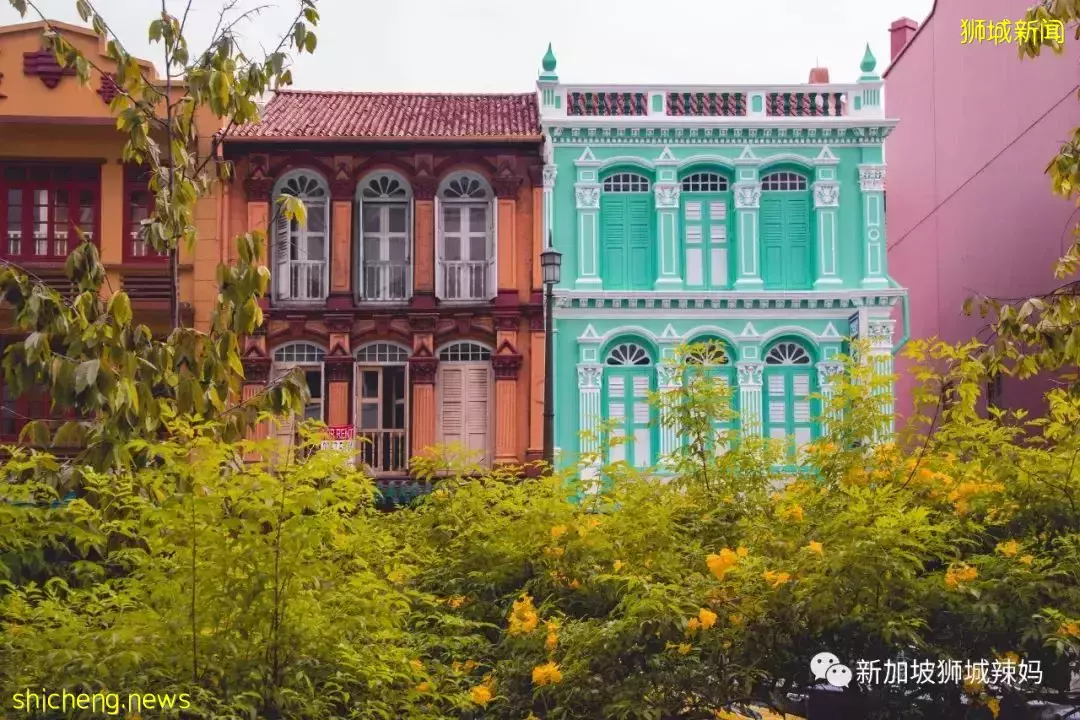 采访了100个在新加坡的人,你有多久没回国了?答案震惊了