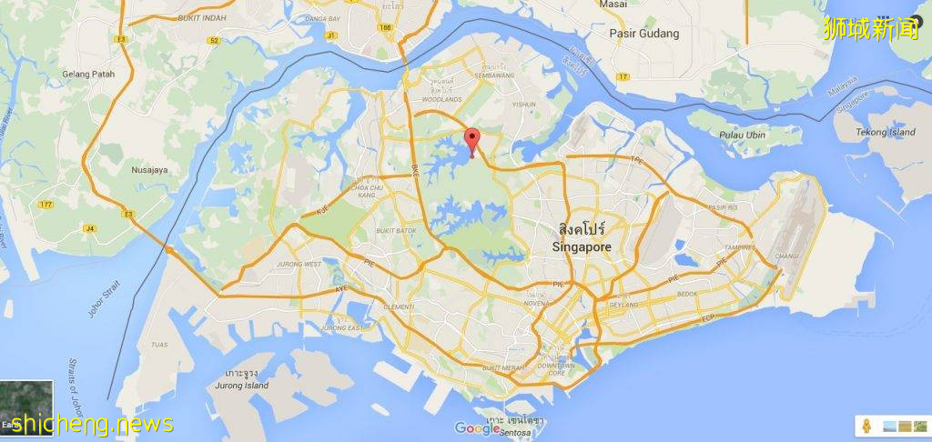 新加坡網紅樹@Upper Seletar Reservoir Park,對稱感美景,隨手一拍都是大片