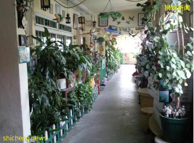 新加坡組屋變“客廳”？有點格局！養雞場、小叢林、毛片場