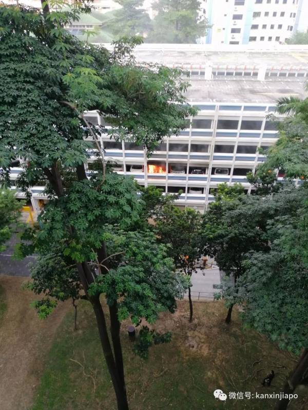 新加坡停车场一汽车无故起火燃烧，现场浓烟滚滚