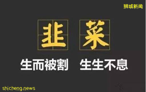 "只要我活著，新加坡就不會有賭場！"!