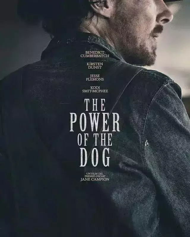 春節觀影指南,這些金球獎電影大片在新加坡也能看到