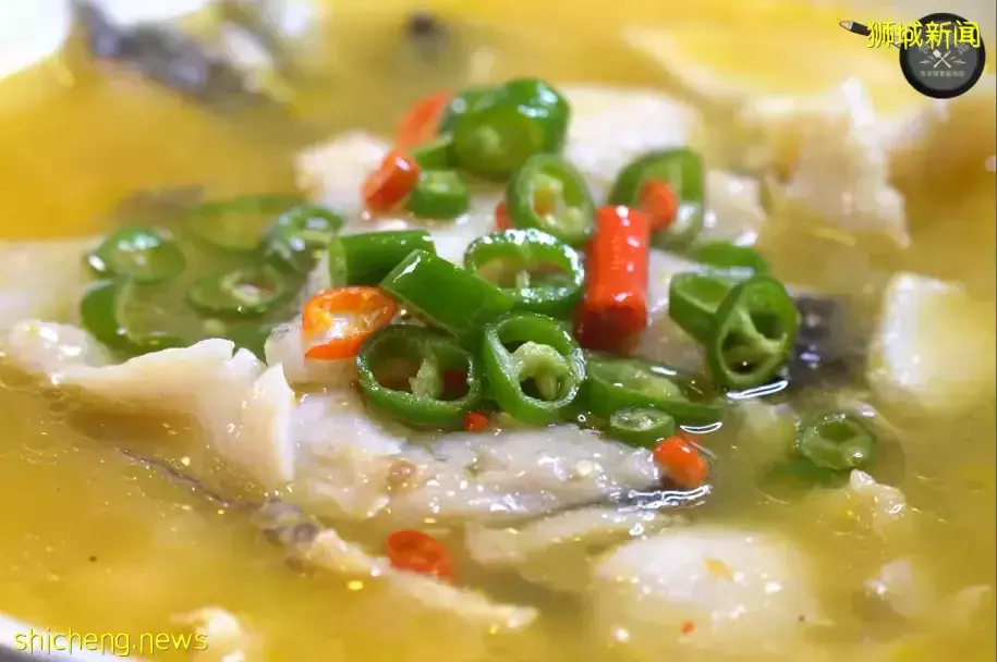 晚上睡不著,夜宵時間到!夜貓子們集合啦