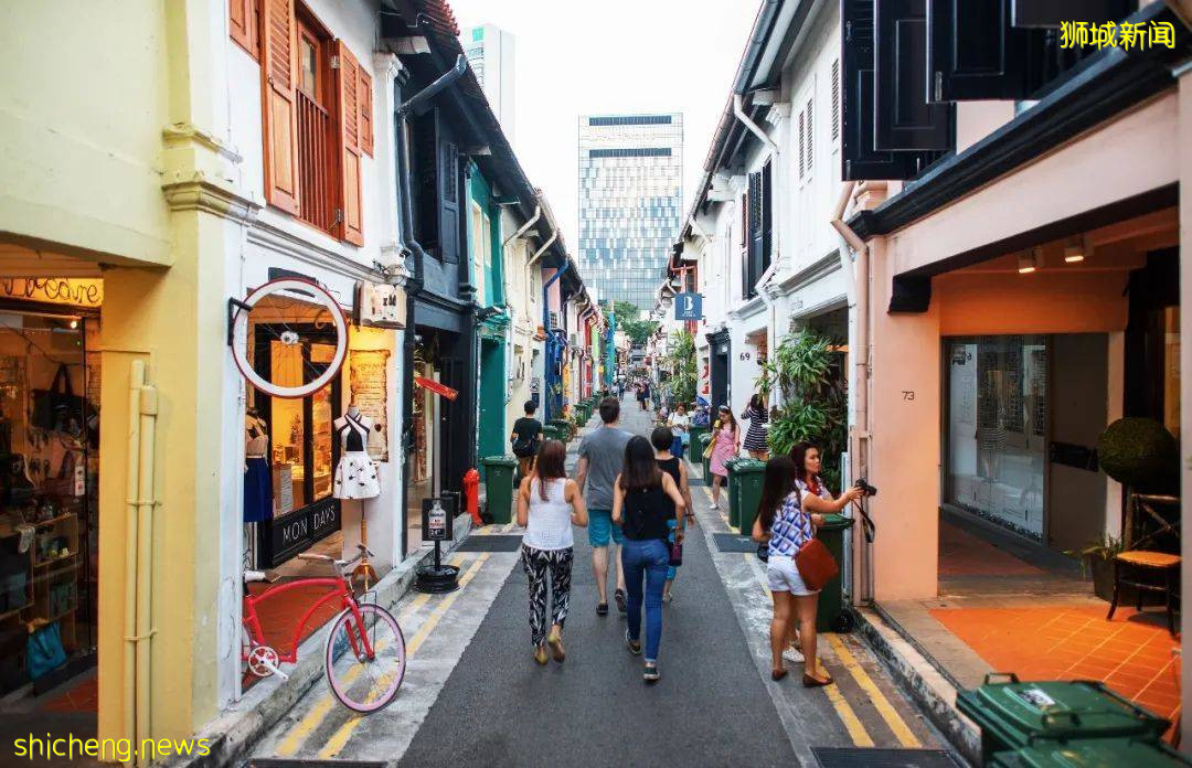 这个520,狮城拍了拍你并与你“新”动有约