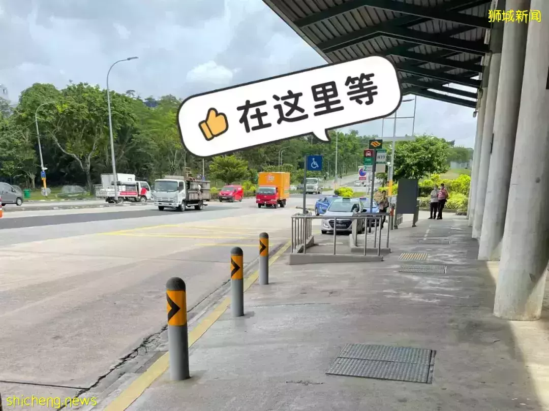 下水抓蛙、摘菜摸鱼、开土摩托……我带娃体验了一把新加坡的农家乐