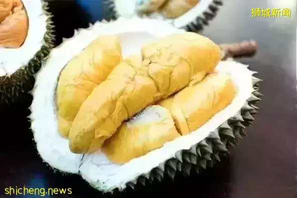 新加坡 榴梿季來襲