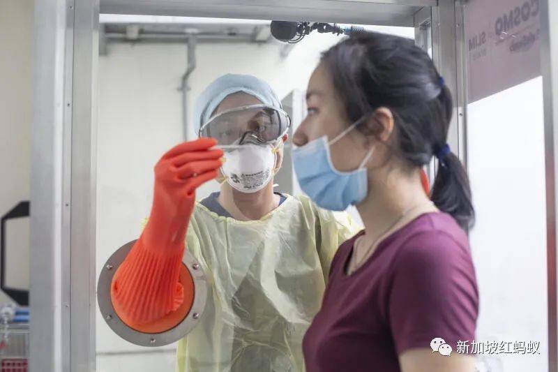新加坡實驗室又出錯，這回誤將233個未化驗的冠病拭子樣本直接丟棄銷毀