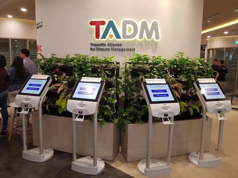 中國女留學生討薪被掌掴、踢飛！唐人街爆發抗議遊行！新加坡也有這種事嗎