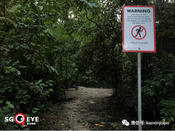 昨天小長假人山人海，武吉知馬老鐵路成新景點！前生今世大揭秘