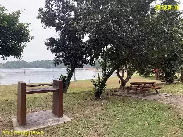 新加坡南部小島被瘟疫“襲擊”,變成了巨大密室