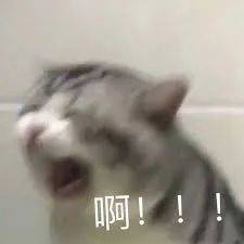 擠！爆！了！2020在家待了一整年，年底了，全新加坡的人都上街排隊