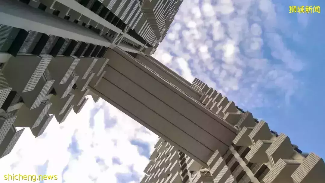 新加坡“棲息地”:晴宇公寓