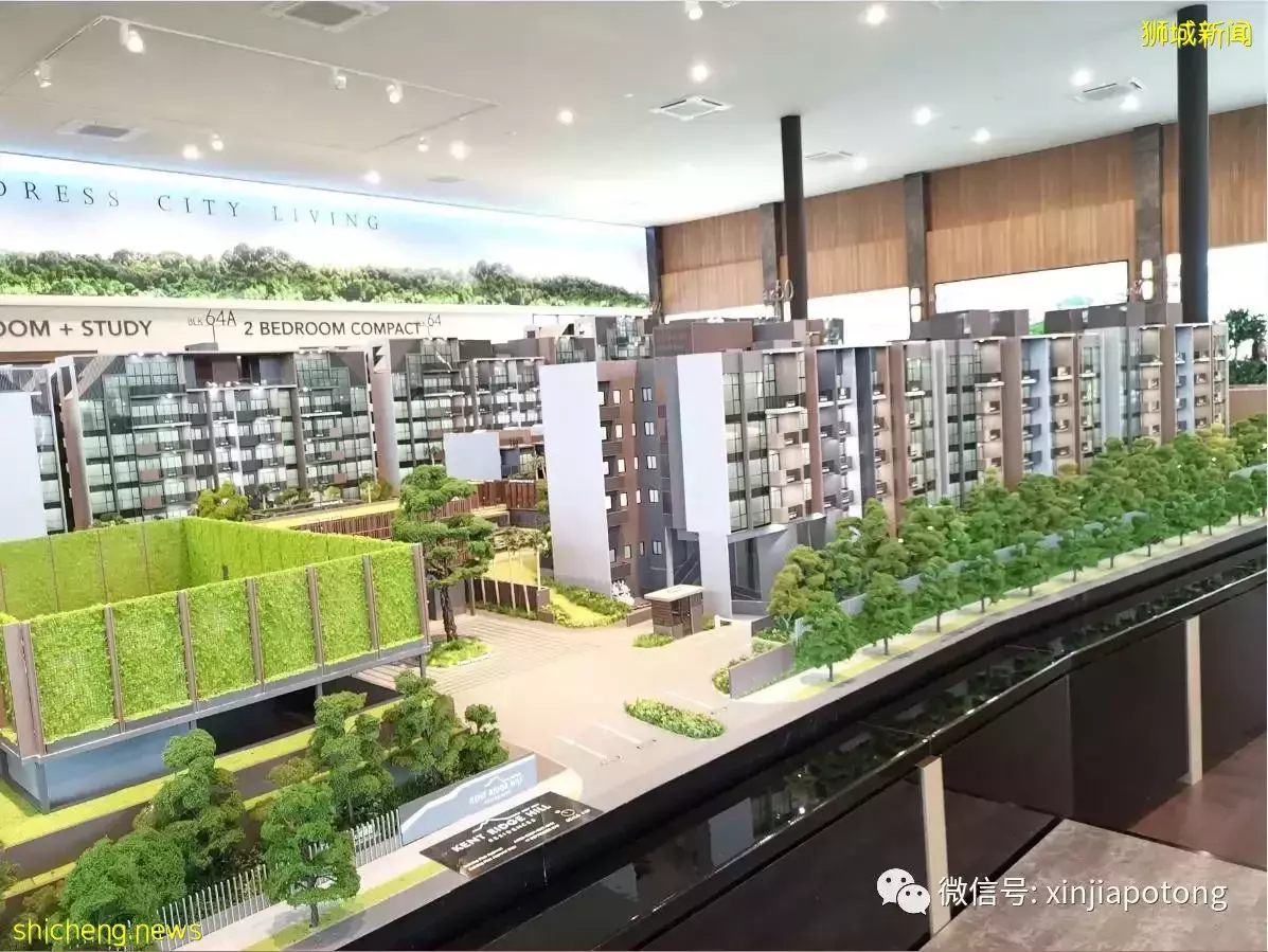 西海岸背山靠海项目,喜欢安静环境的朋友看过来,南部滨水区待开发转型