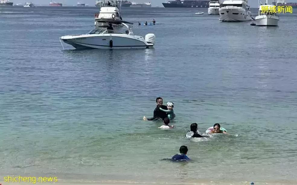 半小時就能到達的人間仙境!新加坡“小馬代”美出天際