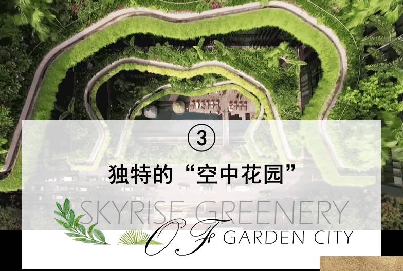 將自然引入城市:新加坡“花園城市”背後的故事