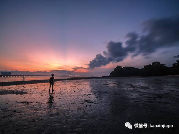 新加坡哪里看日落？8个绝美夕阳的打卡地点