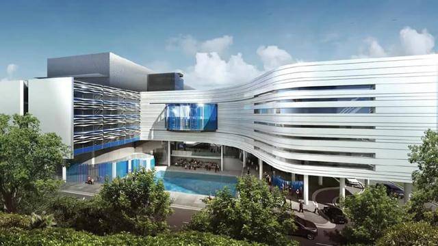 新加坡的这些顶级国际学校超受中国家长追捧,快来看看如何申请