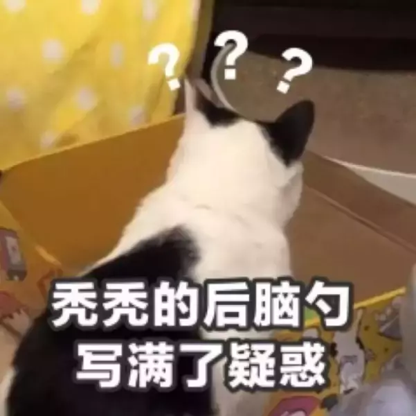 明明同在新加坡留学,我租的房永远不如她的好