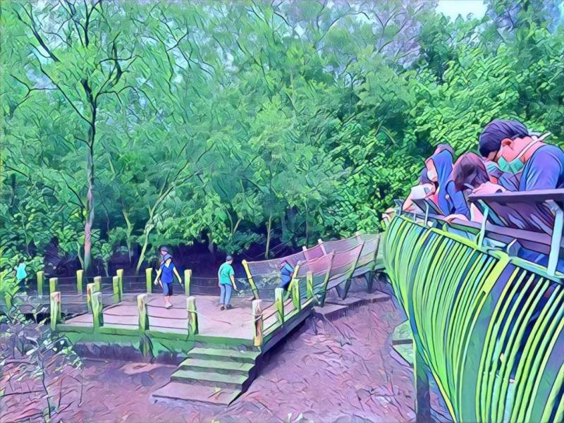 新加坡雙溪部落濕地（Sungei Buloh Wetland Reserve)