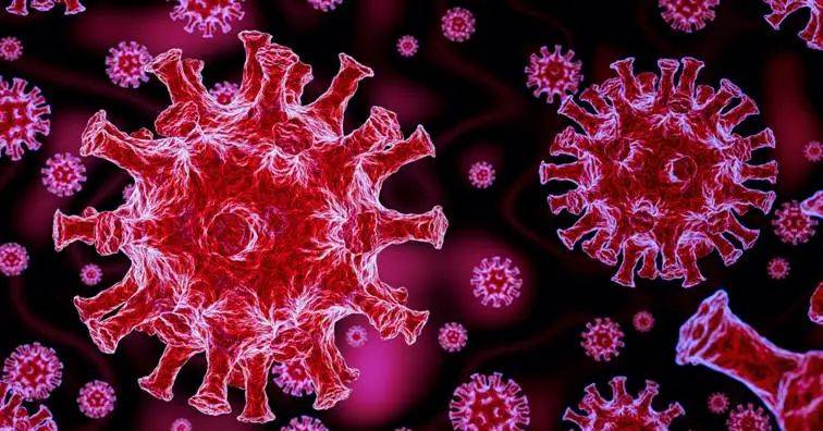 世卫组织专家于今日从新加坡启程，前往武汉追查新冠病毒源头