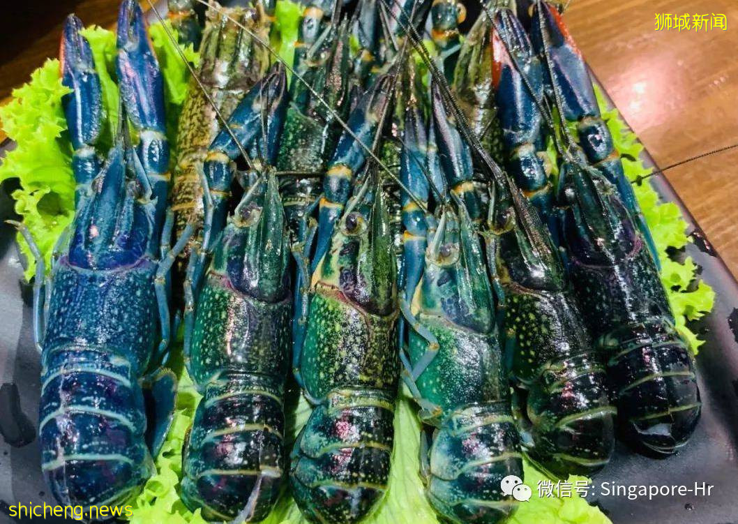 火爆新加坡的美食,吃貨的您有必要了解一下哦