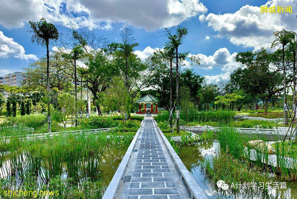 新加坡各类学校学费汇总(AY2020/21)