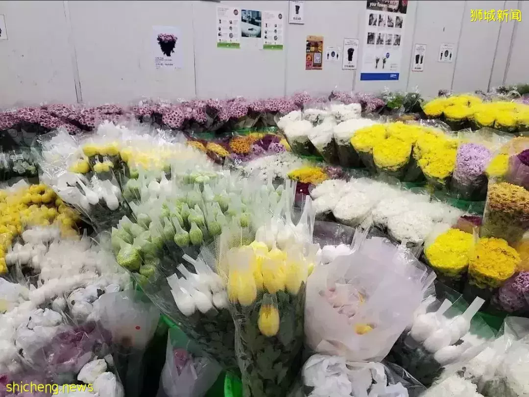 鮮花在熱帶也能養1個月？資深花友新加坡買花、養護大揭秘