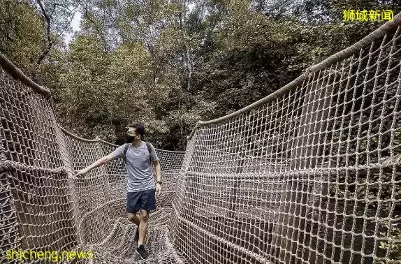 帶娃逛遍新加坡的森林和水庫，9條適合兒童徒步的路線