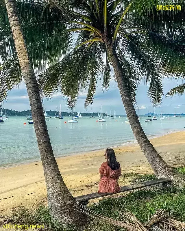 一起出外走走吧!盘点新加坡东海岸必打卡攻略🙌8大景点任你玩,更加接近大自然