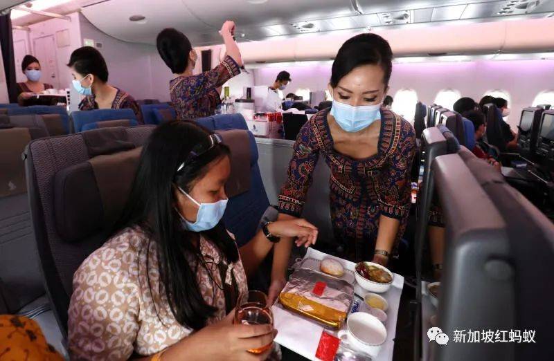 新加坡人掏心掏肺掏荷包 新航现在知道谁对他们最真心了吧