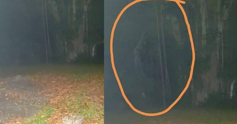 細思恐極!新加坡夜間徒步愛好者聲稱遇上了“武吉知馬猴人”,還拍下了照片