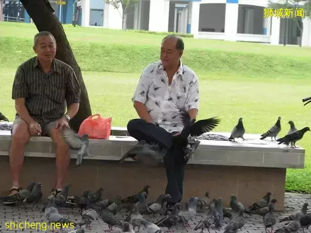 新加坡六兄弟姐妹争夺遗产,“最能干的"被5人联手告上法庭