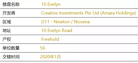 新加坡【D11區】中央核心CBD紐頓永久地契新公寓 10 evelyn【頂級名校學區房】