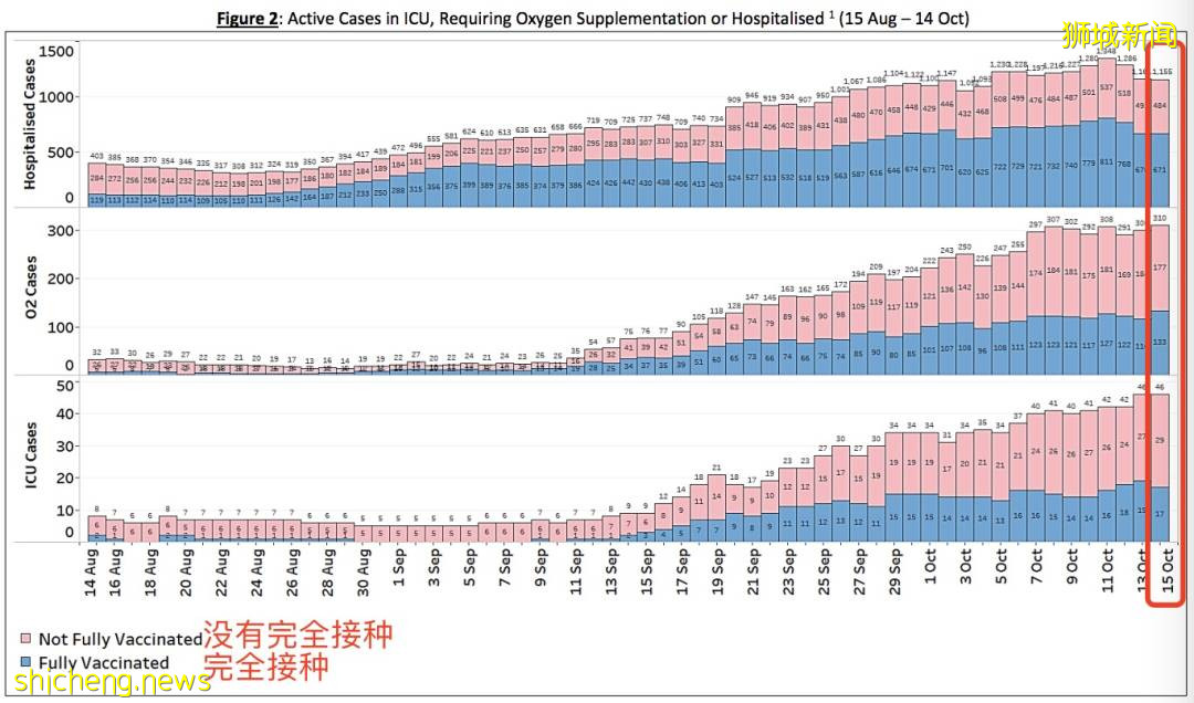 這些國家已成功和病毒共存：徹底解封，街頭到處是人！新加坡還有多遠